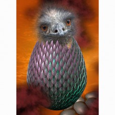 GREETING CARD BIRDS The Chosen One